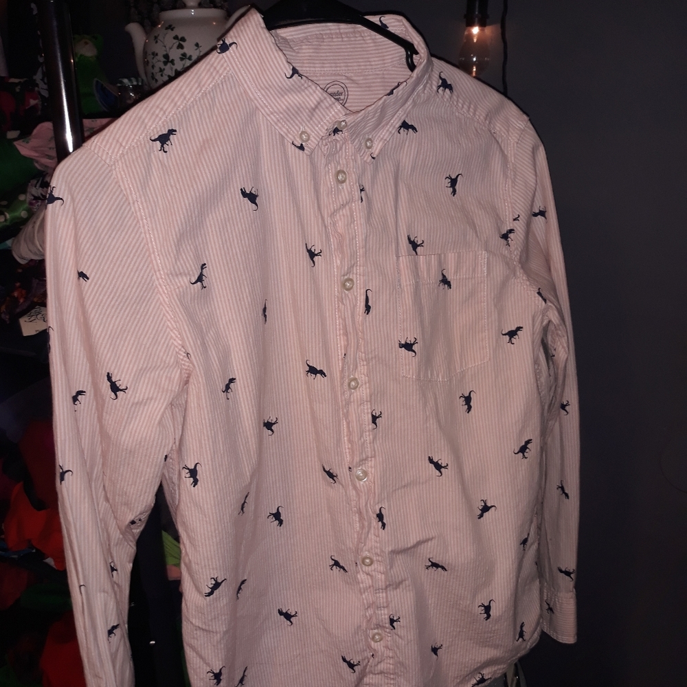 Dinosaur Stripes Orange White Matching Button Down T-Rex